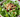 Ensalada de hojas verdes arándanos y almendras