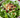 Ensalada de hojas verdes arándanos y almendras